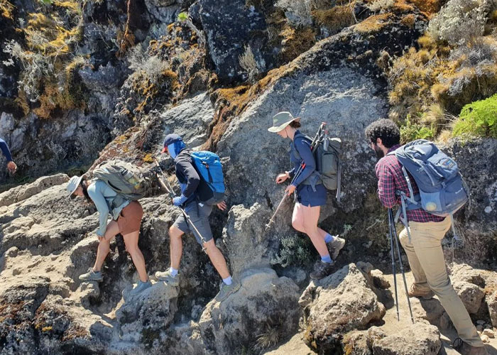 6 Days Machame Route