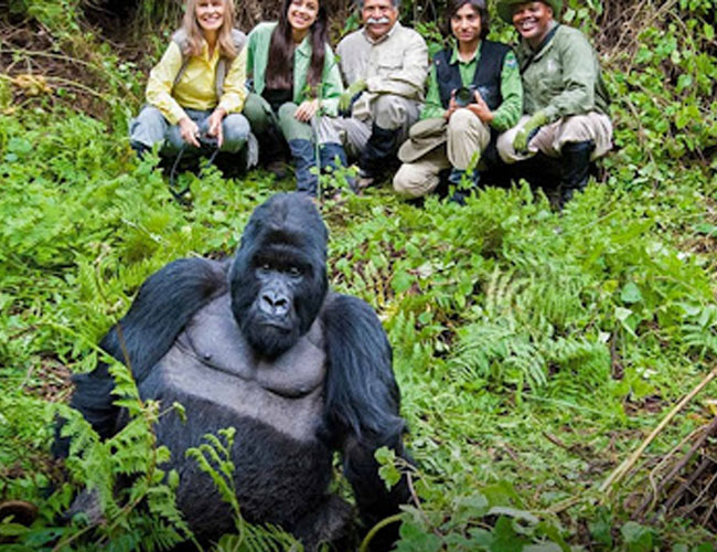 6 Days Rwanda -Uganda, X2 Times Gorilla Trek