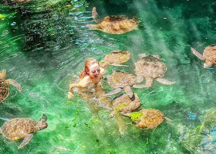 Sea Turtle Aquarium (Nungwi)