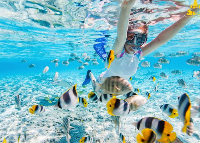 Snorkeling Blue Lagoon Tour (Michamvi).