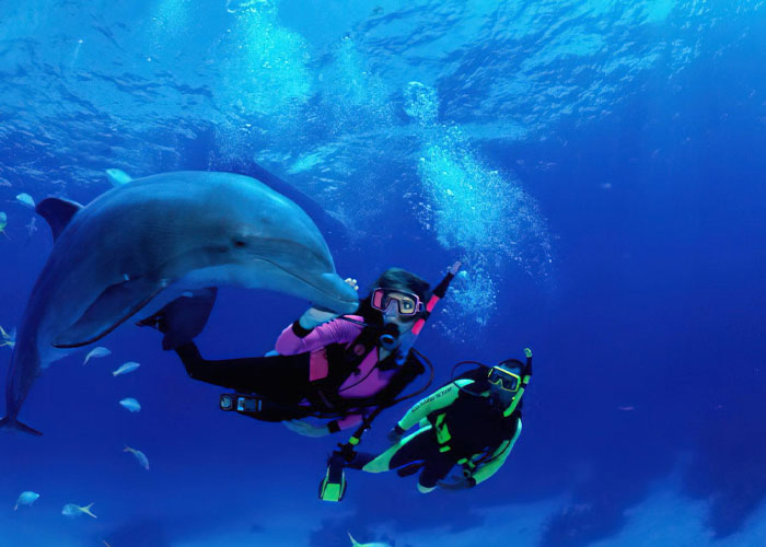 Zanzibar Scuba Diving Tour