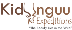 Kidunguu expeditios