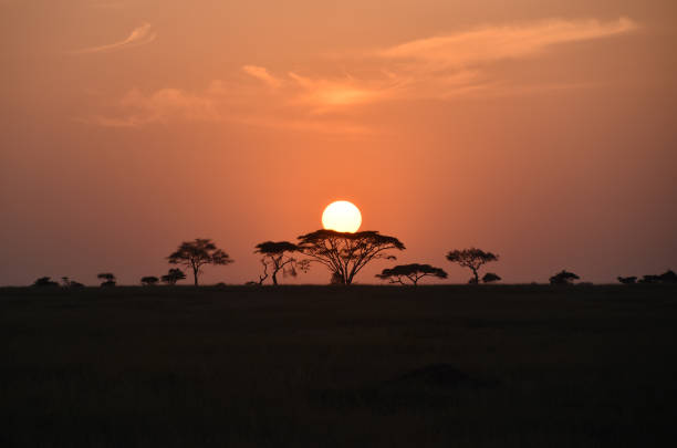 10-Day Tanzania Deep South