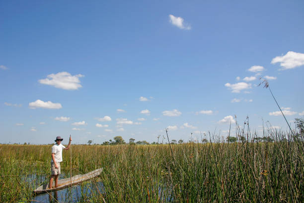 6-Day Okavango Delta Explorer