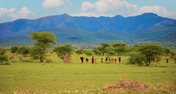 6-Day Southern Circuit Tanzania