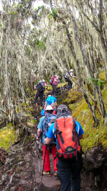 Kilimanjaro — Marangu Route