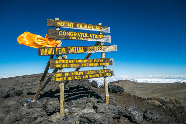 Kilimanjaro