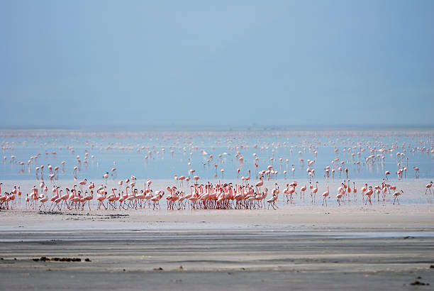 Lake Manyara