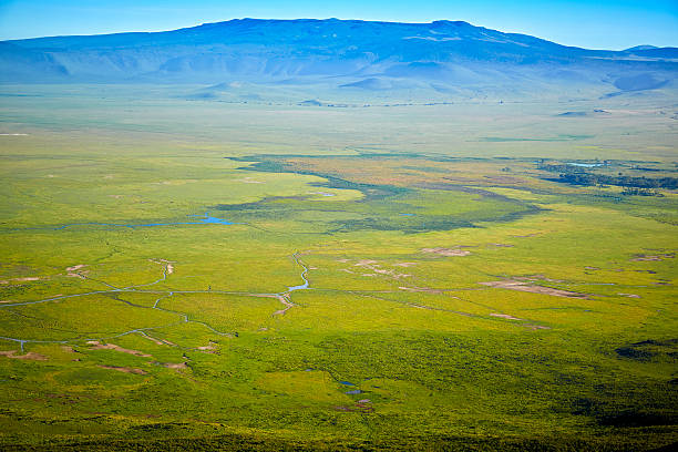 Ngorongoro Crater Descent