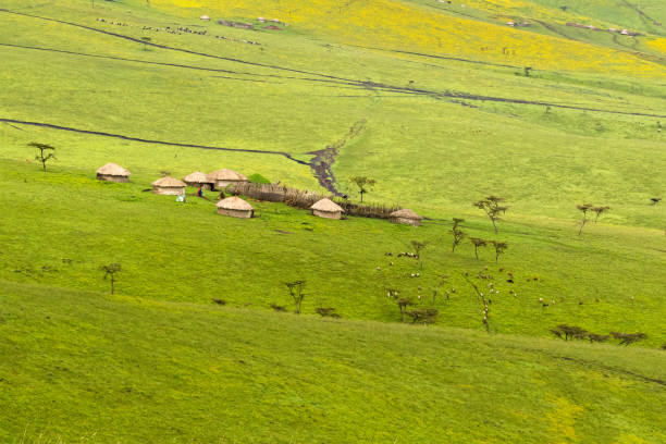 Ngorongoro Maasai Highlands