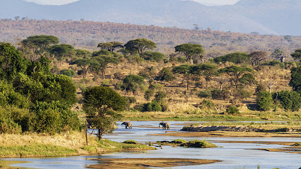 Ruaha