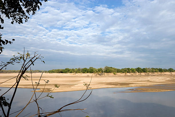 Selous / Nyerere