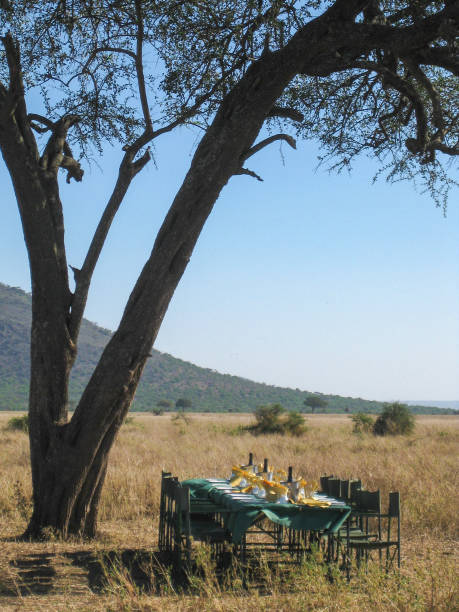 Serengeti Balloon & Bush Breakfast